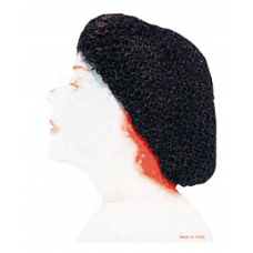 Wave Hair Net Black 24Pc/Cd