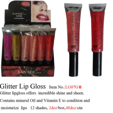 Diamond 12Color Glitter Lip Gloss 2Dz/Display